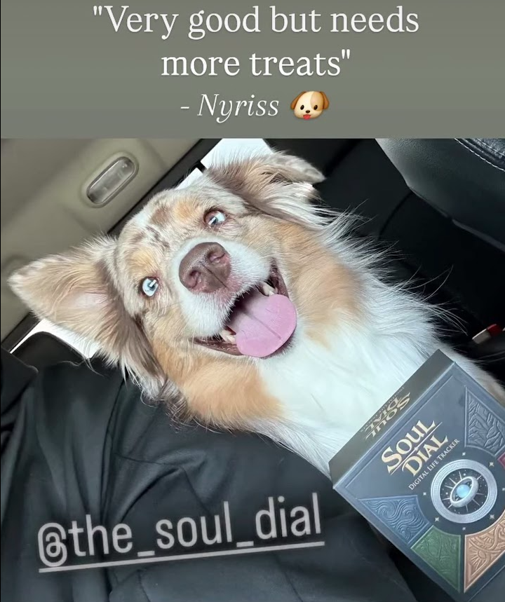 Happy dog beside a newly delivered Soul Dial box